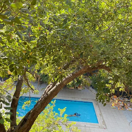 Guenes Holiday Dağ evi Faralya