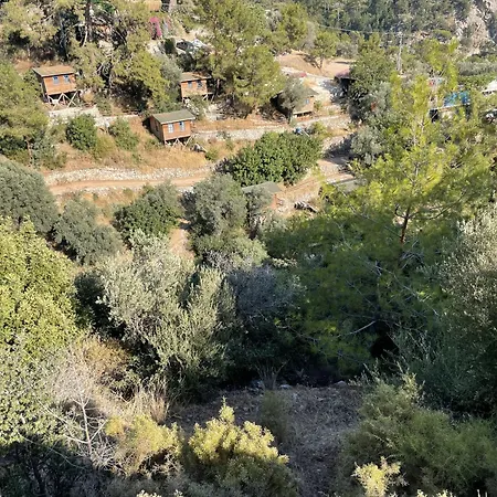 Dağ evi Guenes Holiday Faralya
