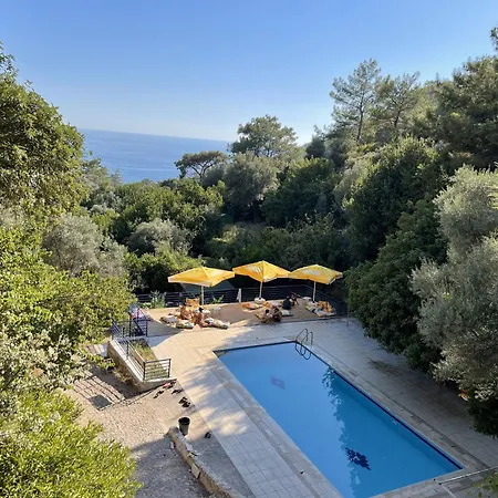 Guenes Holiday Dağ evi