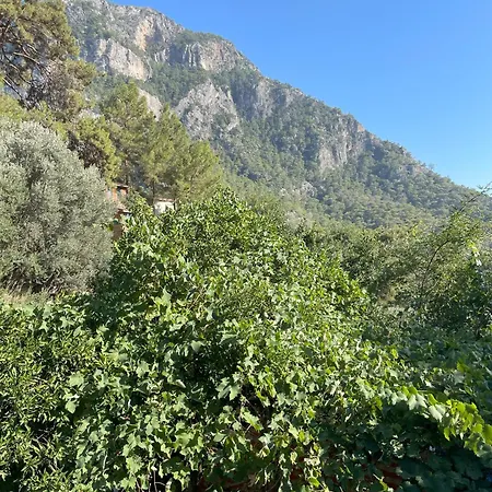 Dağ evi Guenes Holiday Faralya